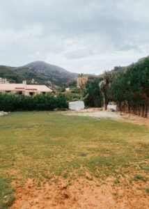 Peaceful meadow scene with houses, lush greenery, and mountains in the background.
